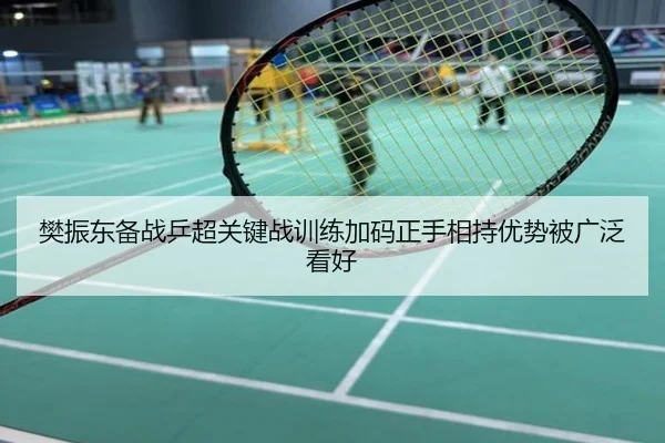 樊振东备战乒超关键战训练加码正手相持优势被广泛看好